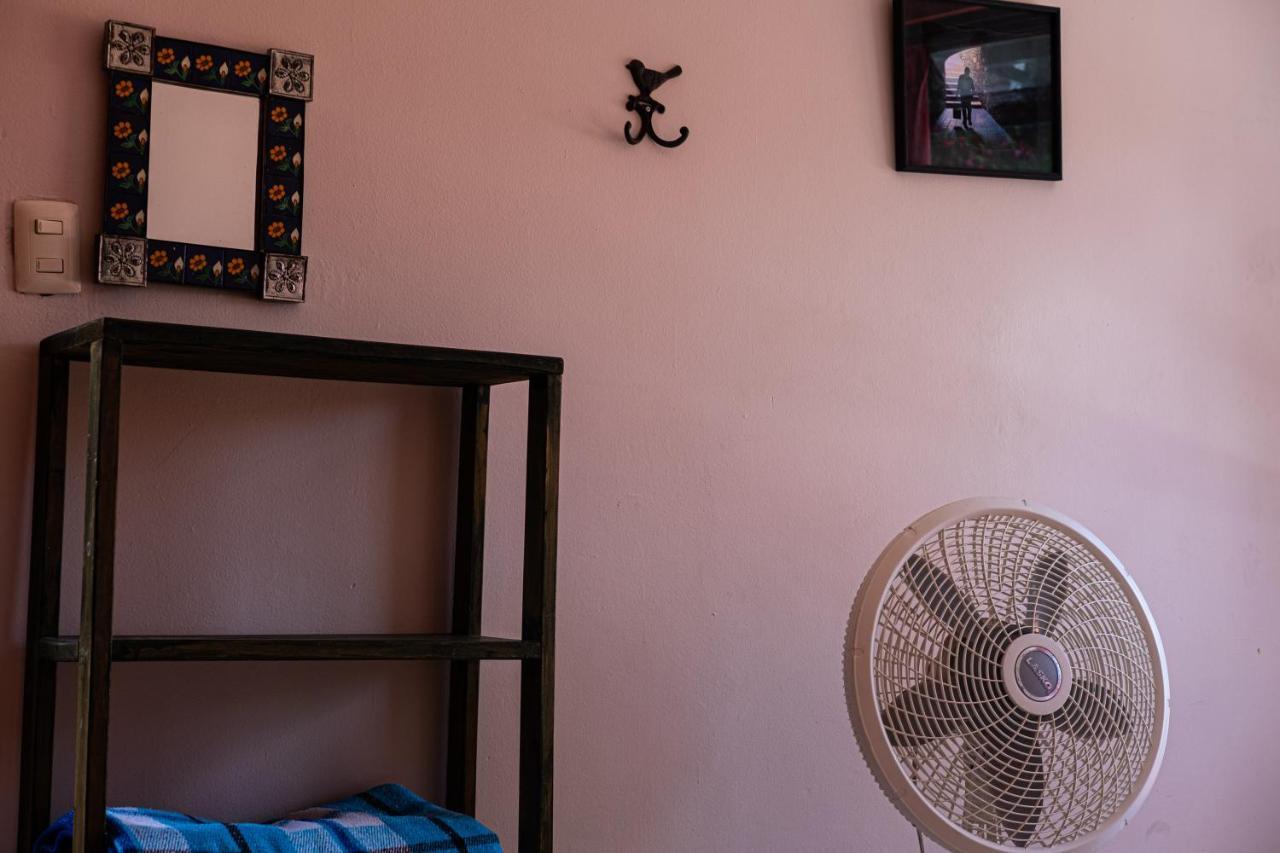 Hostal Pochon Oaxaca Dış mekan fotoğraf